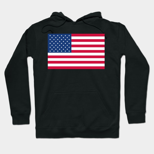 American Flag Tshirt designers Hoodie by Therain3401